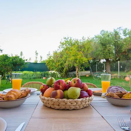 Ferienhaus Drallos Luxury House Alykanas (Zakynthos)