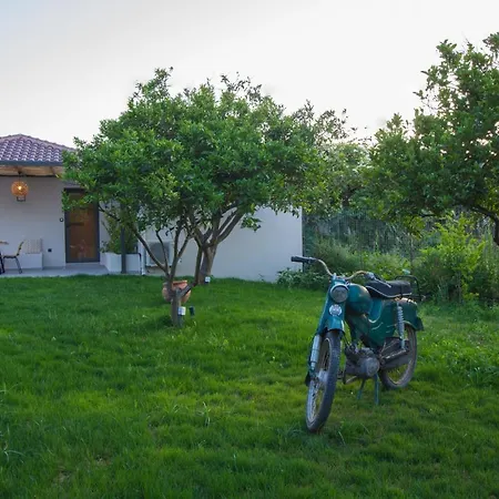 Drallos Luxury House *